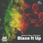 Delando Colley & Dale Virgo - Blaze It Up (Radio Edit)