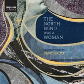 David Bruce: The North Wind Was a Woman artwork