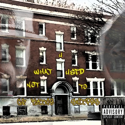 Not What U Used to (feat. Snipes) - Single