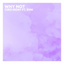 Why Not (feat. SVM) Ciro Mont