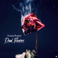 Dead Flowers - Single - Young Bopete