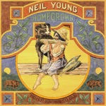 Neil Young - Little Wing