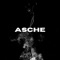 Asche - Dr.M lyrics