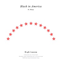Black in America (feat. Wain) - Single - Eryk Leone