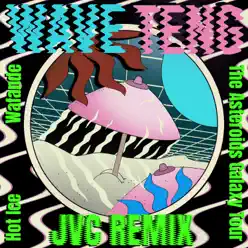 Wave Teng (Jvc Remix) [feat. DJ John Vincent & Hot Ice] - Single - The Asteroids Galaxy Tour