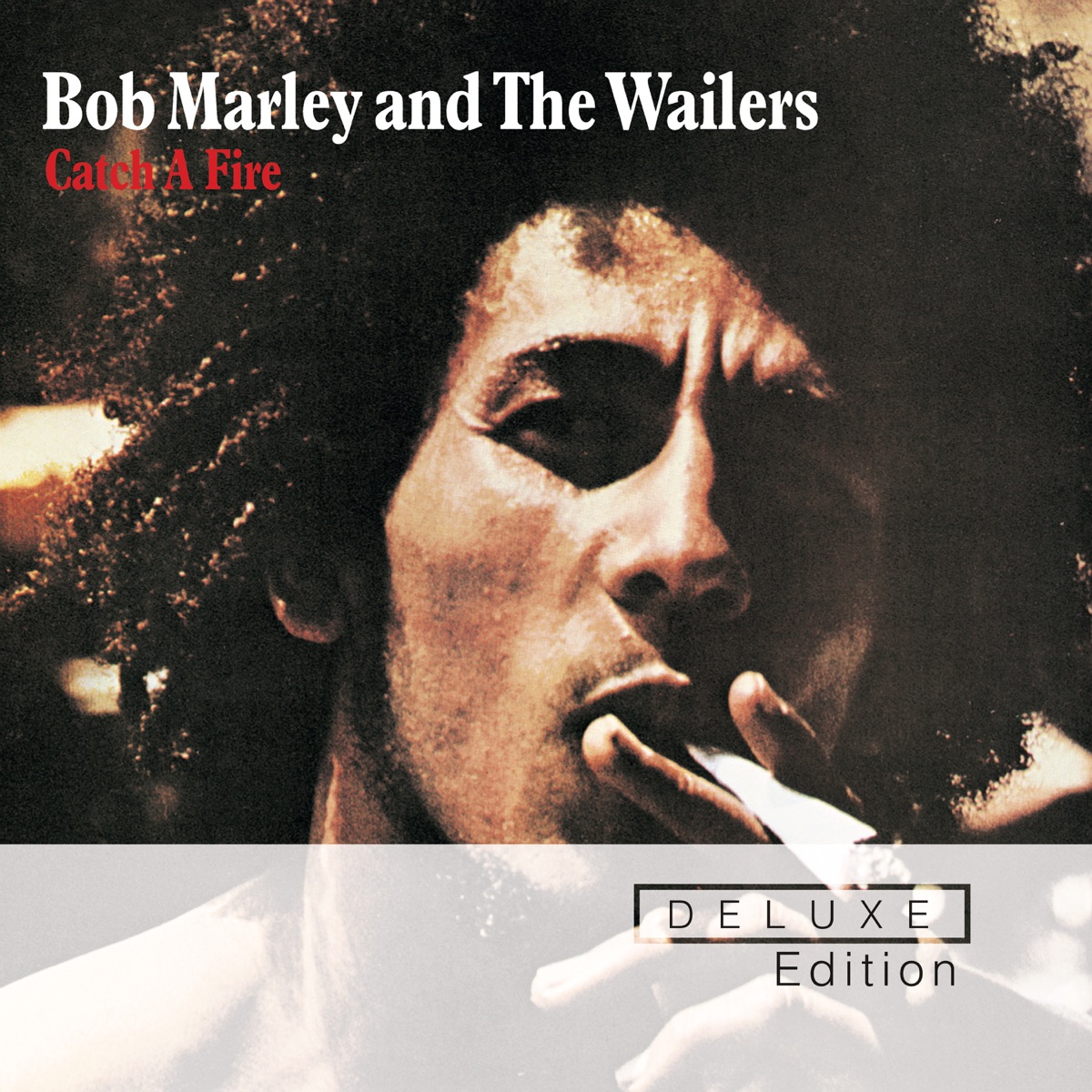THE WAILERS / CATCH A FIRE