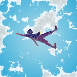 Falling from the Sky DOAK