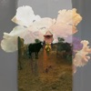 Lovely Dae cover art