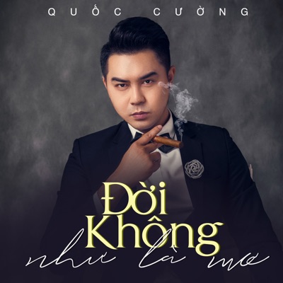 Đời Không Như Là Mơ - Single