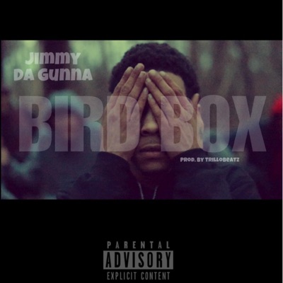 Bird Box - Single