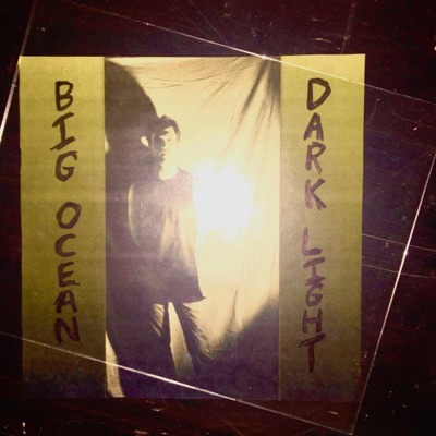 Dark Light