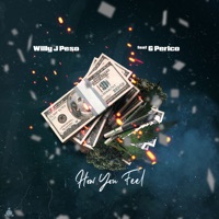 How You Feel - Single - Willy J Peso
