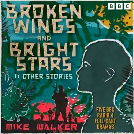 Broken Wings and Bright Stars & other stories