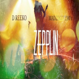 Zepplin (feat. Madeinthe90s) D Reeko