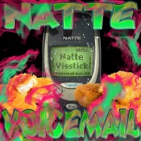 Natte Voicemail - Single - Natte Visstick