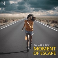 Square a Saw - Moment of Escape