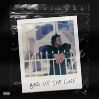 Bag Up the Cure (feat. Inglewood Speedy) - Single - Damon Turner