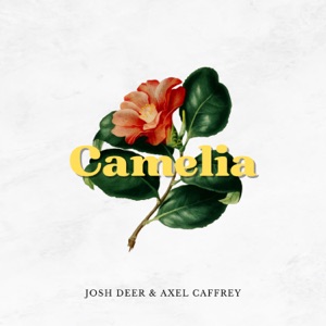 Camelia