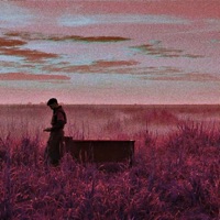 Nepyk, Jog Viskas Taip Gavos - Single - Tyfaz