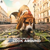 Look Around artwork