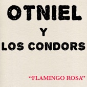 Otniel y Los Condors - Do it All Over Again