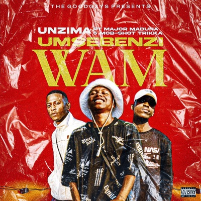 Umsebenzi Wam (feat. uNzimaa, Mob-Shot Trikka & Major Maduna) - Single