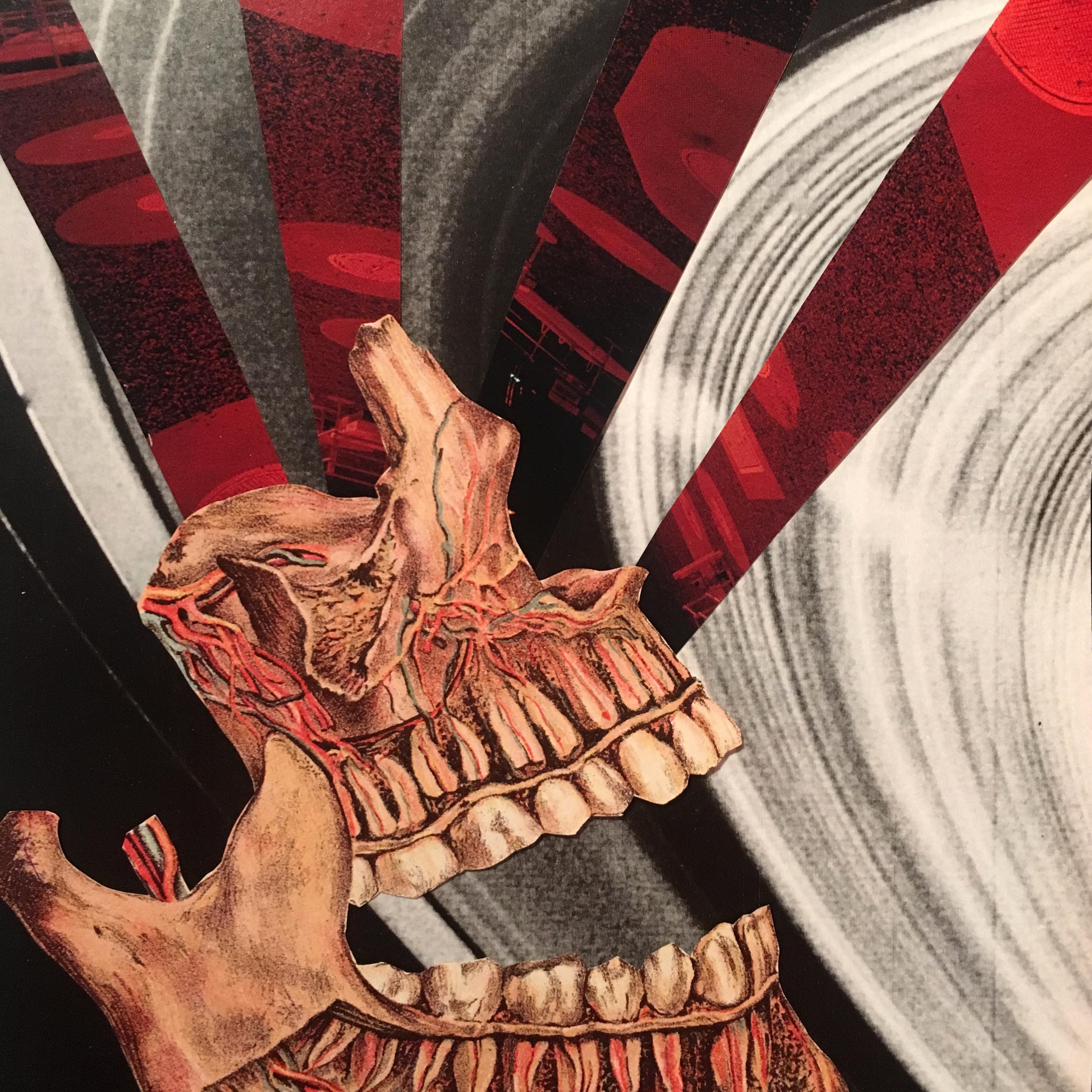 The Sound & the Fury - Single