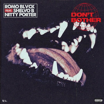 Don't Bother (feat. Shelvo B & Nitty Porter) - Single