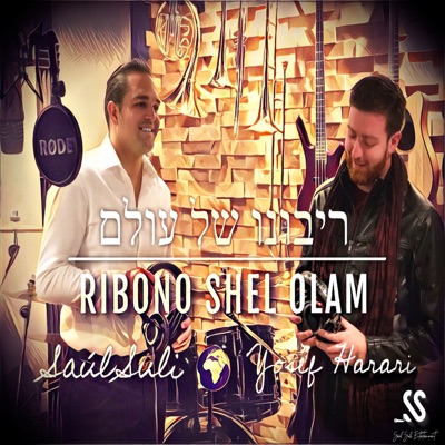 Ribono Shel Olam (feat. Yosef Harari) - Single