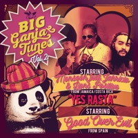 Yes Rasta (feat. Lions Positive & Positive Vibz) - Single - Monsoon, Jahricio & Good Over Evil