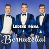 Ledine Pana