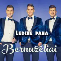 LEDINĖ PANA — BERNUŽĖLIAI