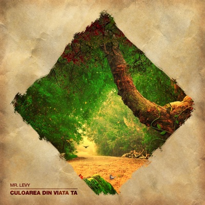 Culoarea Din Viata Ta