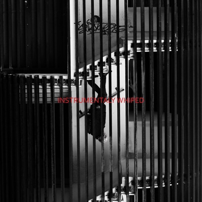 Instrumentaly Whiped