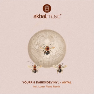 Antal - Single