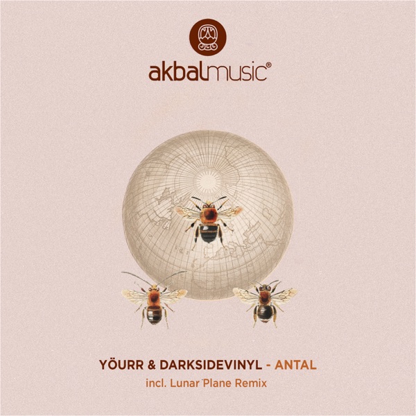 Antal - Single