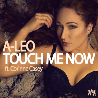 Touch Me Now (feat. Corinne Casey) - Single