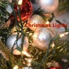 Christmas Lights - Single