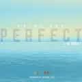 Perfect