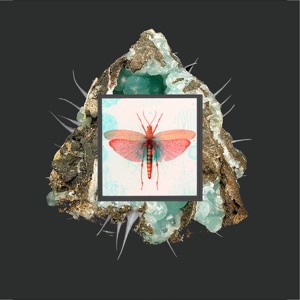 Syn - Single