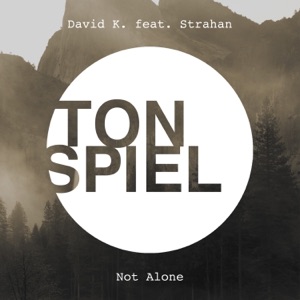Not Alone (feat. Strahan) [Remixes] - Single