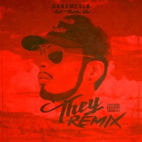 They (feat. Raider Dee) [Remix] - Single - Danameslb