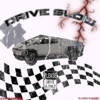 Drive Slow (feat. TravVgod) - Single - TheKidChannels