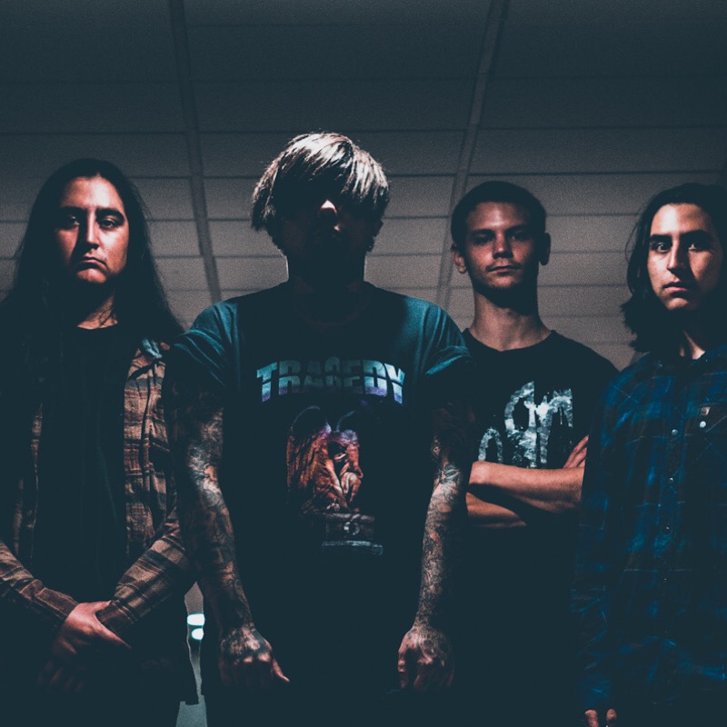 She Cried Raven - Forsaken (Chandelier)