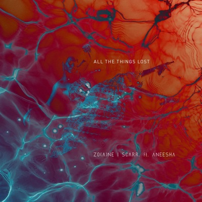 All the Things Lost (feat. Aneesha) - Single