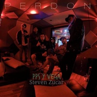 Perdón (Si Falle) - Single - Steven Zucar