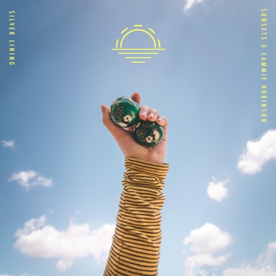 Silver Lining (feat. Cammie Robinson) - Single