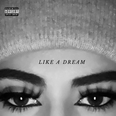 Like a Dream - Single