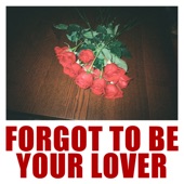 Forgot To Be Your Lover artwork