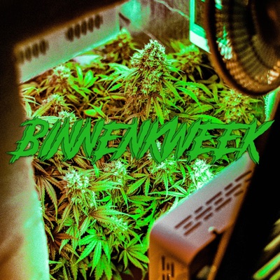 Binnenkweek - Single